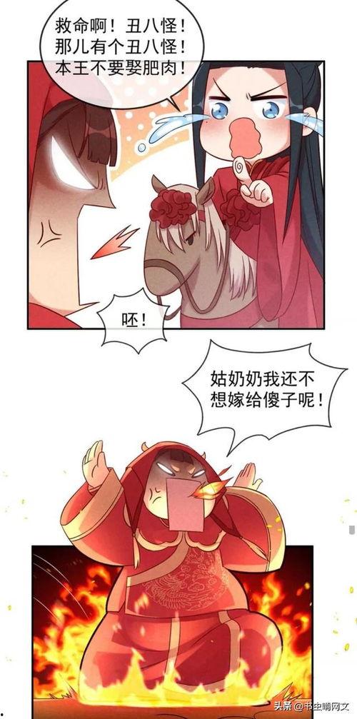 肉嫁动漫在线观看,一场跨越次元的甜蜜邂逅